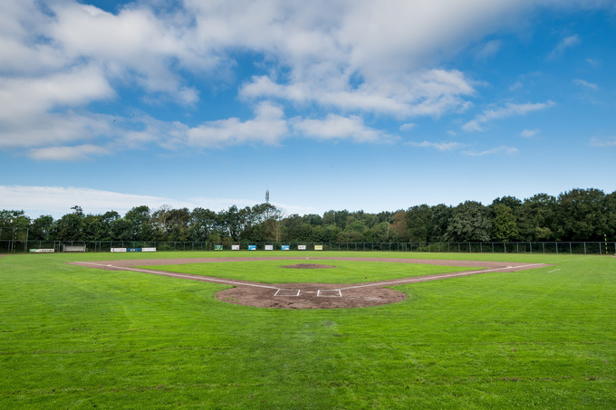 honkbal veld dsh